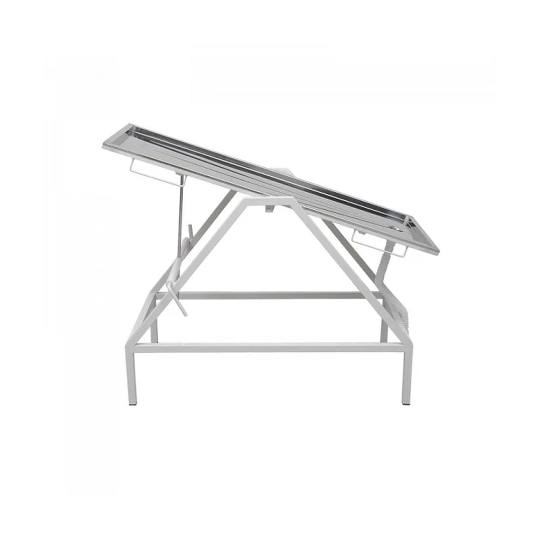 DS-279 VETERİNER MASASI